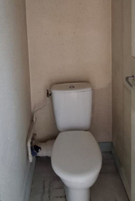 WC avant travaux : ancien WC posé, mur tapissé avec une frise et sol carrelé usé